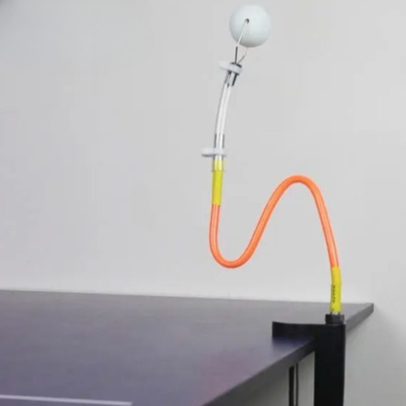 WAP01 Allenatore Professionale - Table Tennis Ball recensione e prezzo